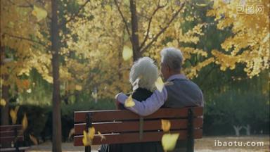 幸福的老年夫妇在公园里看风景
